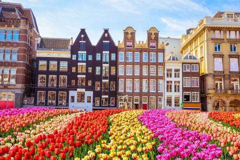 Нидерланди. I♥amsterdam